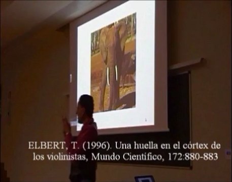 Neurologia 25 - Diferencias Anatomicas musicos vs no musicos - Prof Manuel Lafarga