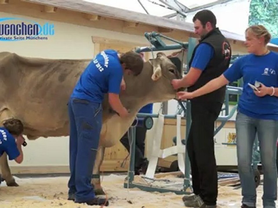 Kuhfitting & Kuh-Styling zur Miss Bavaria @ ZLF 2012 München, Theresienwiese