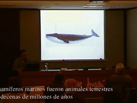 Origenes de la musica y el lenguaje 2 de 4 (1) - Prof Manuel Lafarga