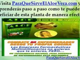 Como Hacer Jabon de Aloe Vera