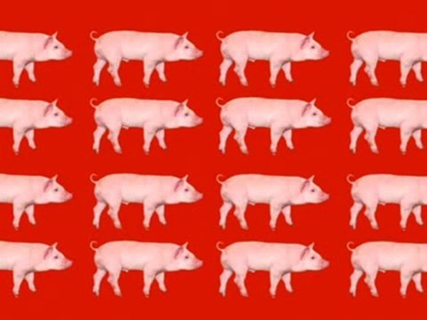 Cortinilla Cuatro - Vive Cuatro (2)