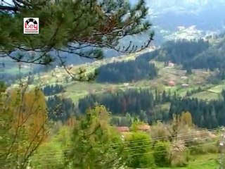 Grup Aslar - Dam Üstünde Un Eler