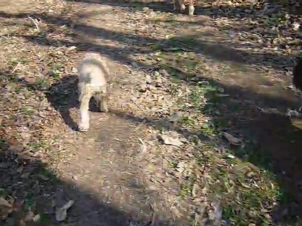 P1010373