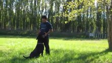 Apport, training