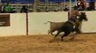 2012 AQHA Open Versatility Ranch Horse World Champion