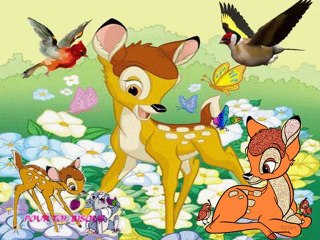 Vive le printemps-03-21-17-57_wmv