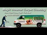 Newmarket Carpet Cleaning | Upholstery Cleaning Services |