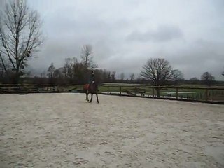 LULU MARS 2012 VIDEO1