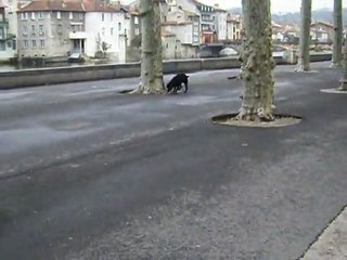 Storm, place du marché, Saint Girons