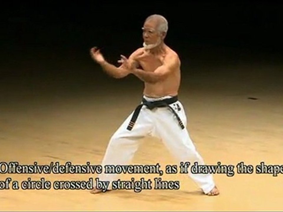 uechy-ryu  Seikoh Tohyama