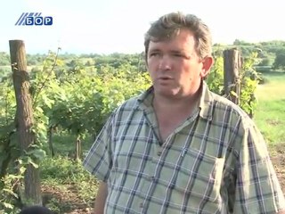 Selo moje, 01. jul 2011.