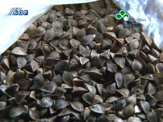 Selo moje, 19. februar 2012.