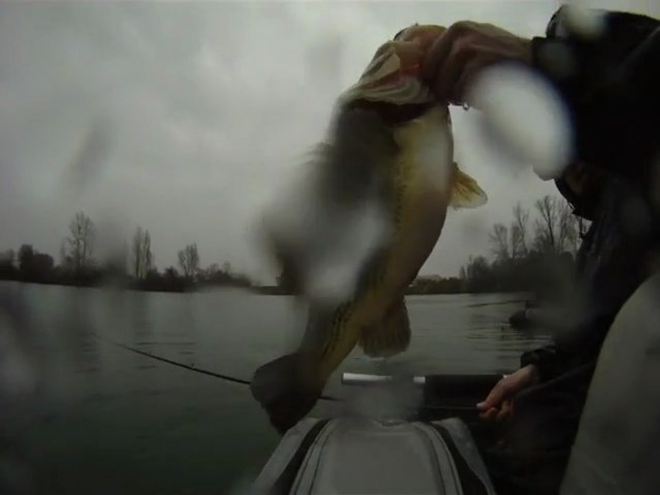BASSIN'in the rain