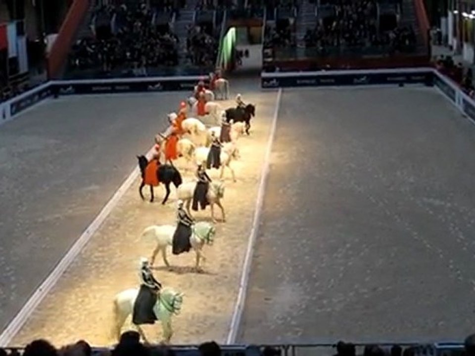 HERMES_2012_Bartabas