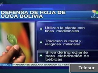 Evo Morales pide a la ONU legalizar el masticado de la hoja de "coca".