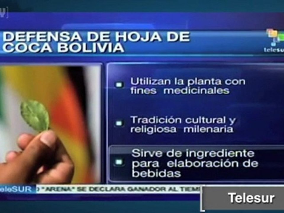Evo Morales pide a la ONU legalizar el masticado de la hoja de "coca".