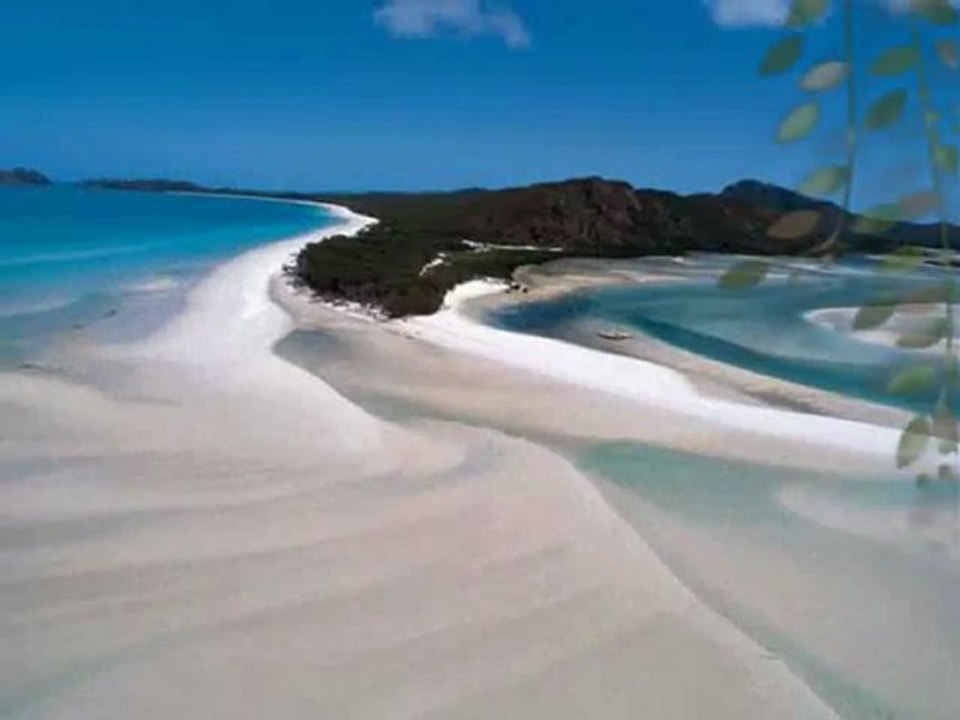 Vangelis  L'apocalypse Des Animaux  La Petite Fille De La Mer Par Fernand