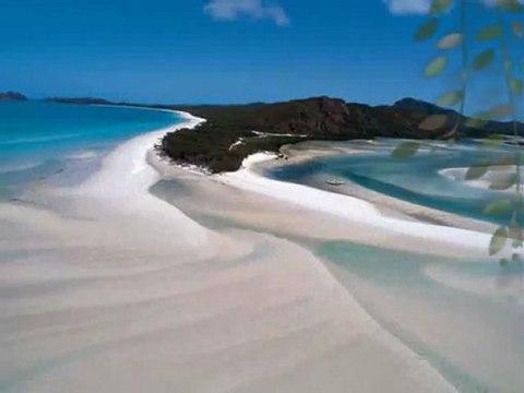 Vangelis L'apocalypse Des Animaux La Petite Fille De La Mer Par Fernand