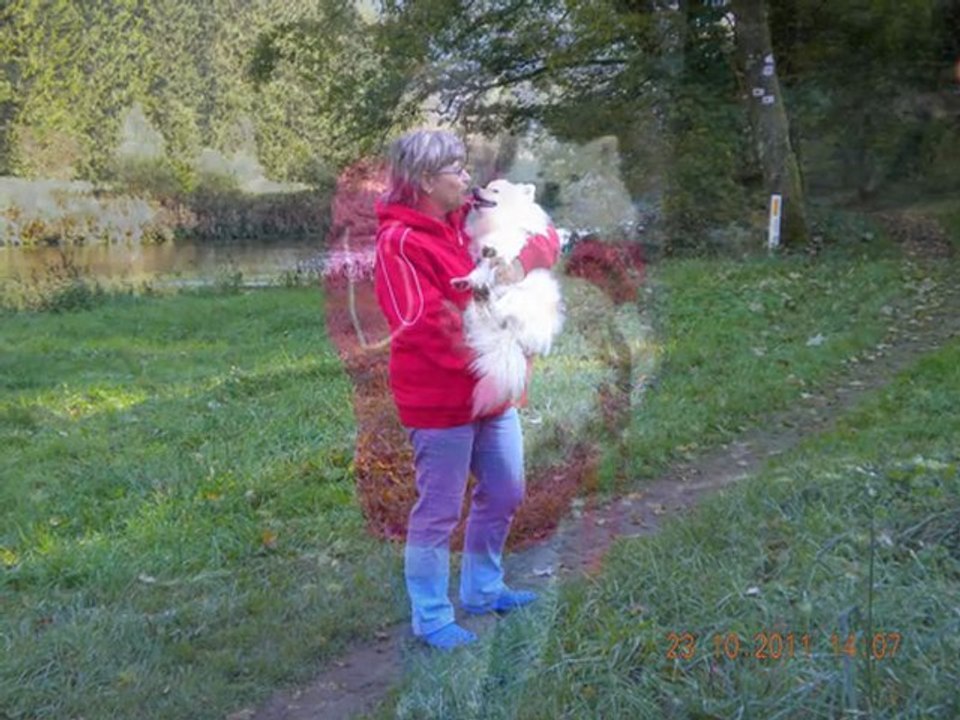 BONJOUR A TOUS LES CAMPEURS DU CAMPING HALLIRU DE BOUILLON