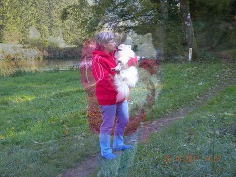 BONJOUR A TOUS LES CAMPEURS DU CAMPING HALLIRU DE BOUILLON