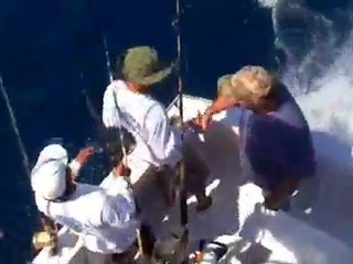 Marlin U Costa Rica1-Compressed