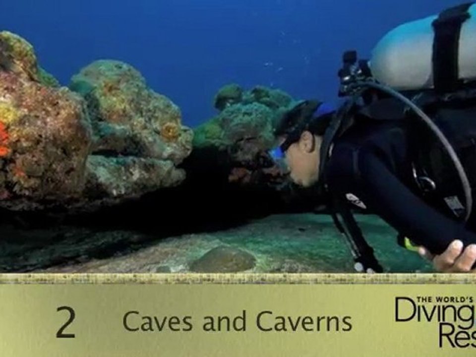 2012 World's Best Diving and Resorts Video: UNEXSO