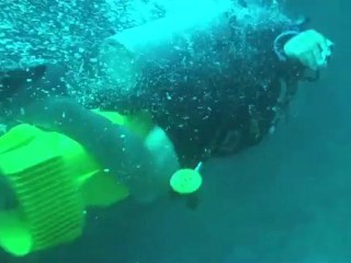 Divers Go Underwater Wreck Racing