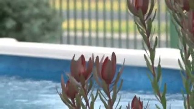 Pool Builders Hopper Crossing Classic Pools VIC