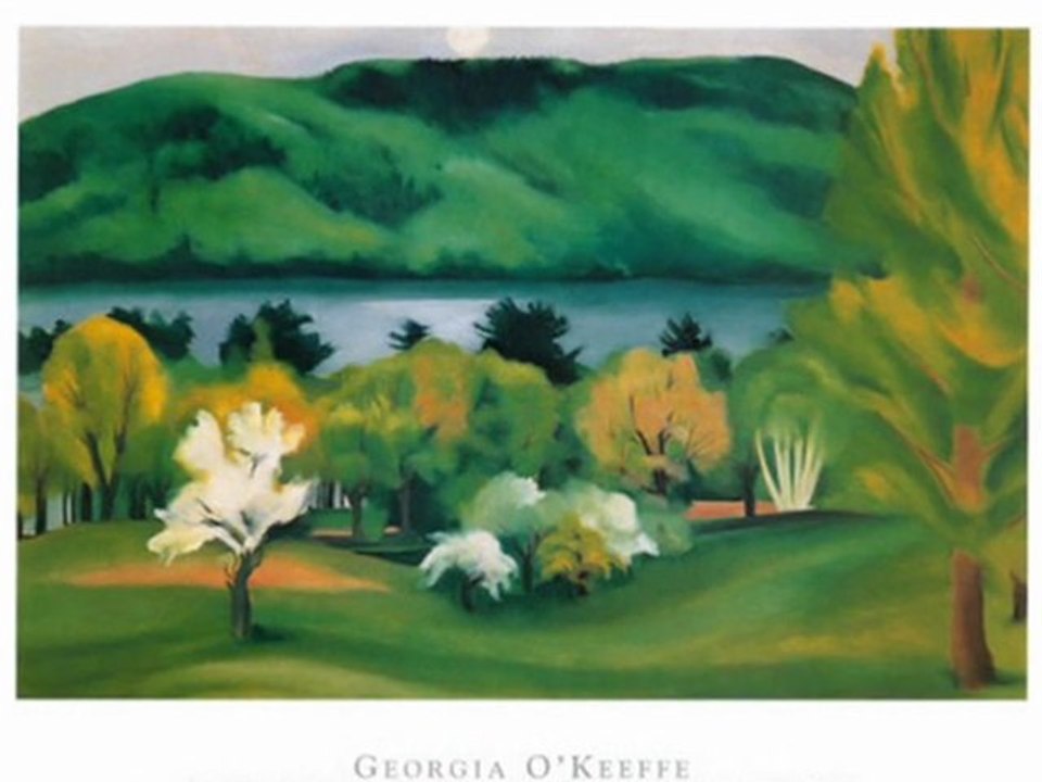 Georgia O'Keeffe paintings Villa-Lobos por Joao Carlos Assis Brasil