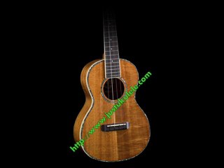 learn to play ukulele online