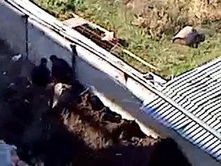 пьяные приколы или drunk laid up