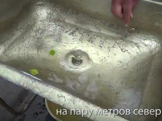 Dans quel sens tourne l'eau de l'évier à l'équateur ?