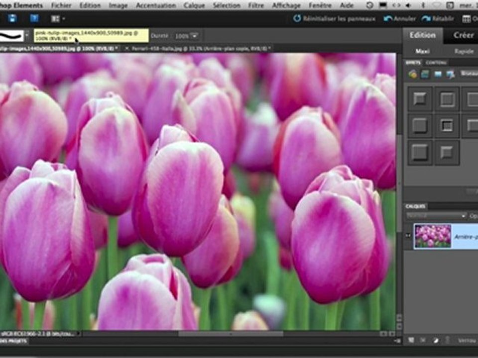 Changer la couleur d'un élément sur une photo