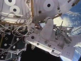 Carl Sagan - The Humans