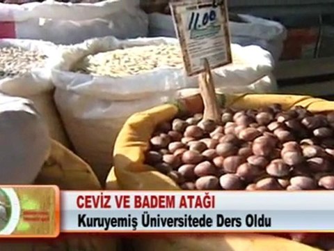 CEVİZ VE BADEM ATAĞI 12.03.2012