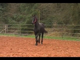 Lutz du Breuil aux Biches