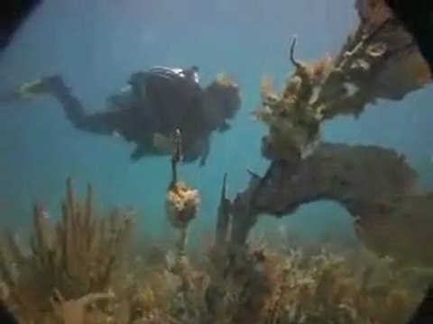 Secret Garden Key Largo Florida