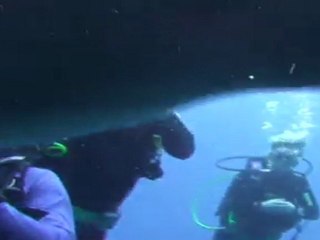 SD Dolphin May Cover w intro