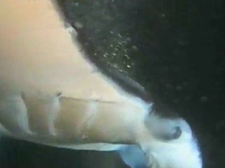 Kona Classic 2008 Third Place