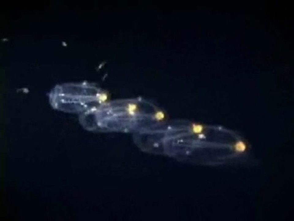 SC 06 Third Place: Matthew D¿Avellla