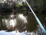 Prise d'un brochet au ver de terre