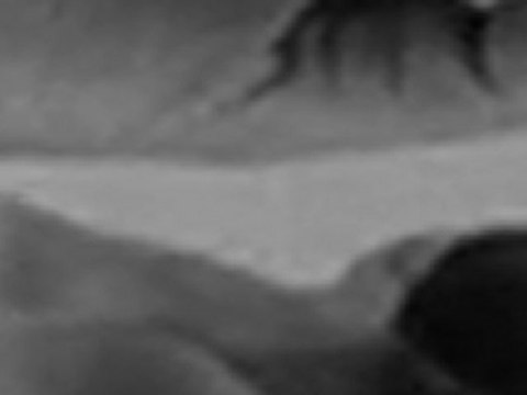 Denis Bador© - LA RETROSPECTIVE #4