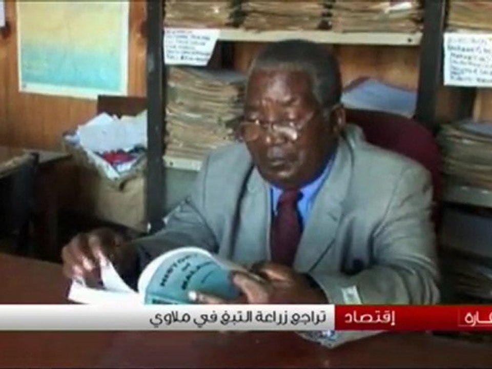 تراجع زراعة التبغ في مالاوي