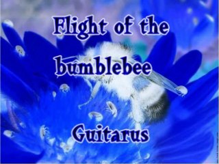 The flight of the bumblebee 230 bpm