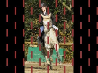 L'équipe poney de Saint- Savin (2012)