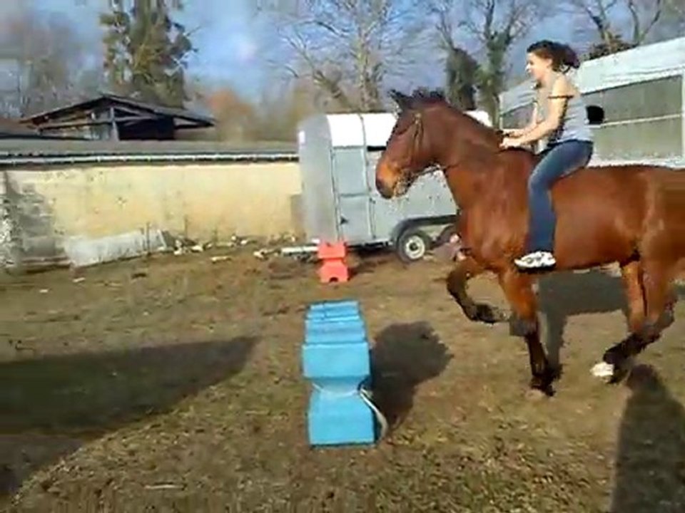 Cheval avec Charlène (2)