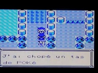 WT pokemon jaune -2