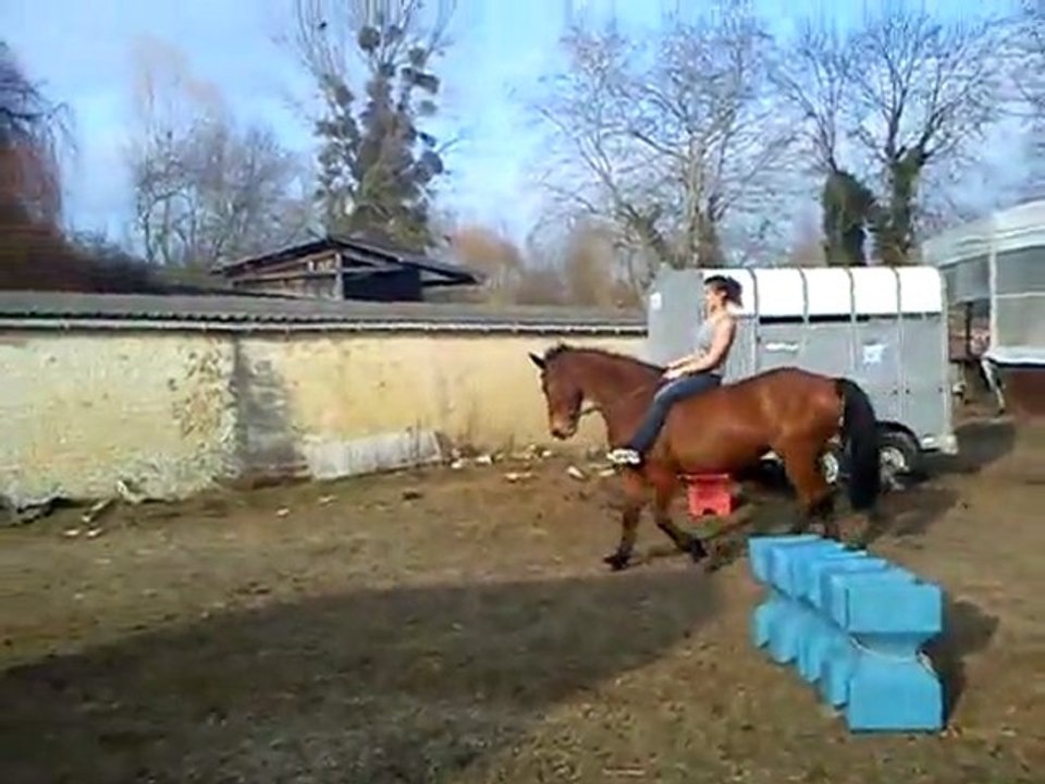 Cheval avec Charlène (3)