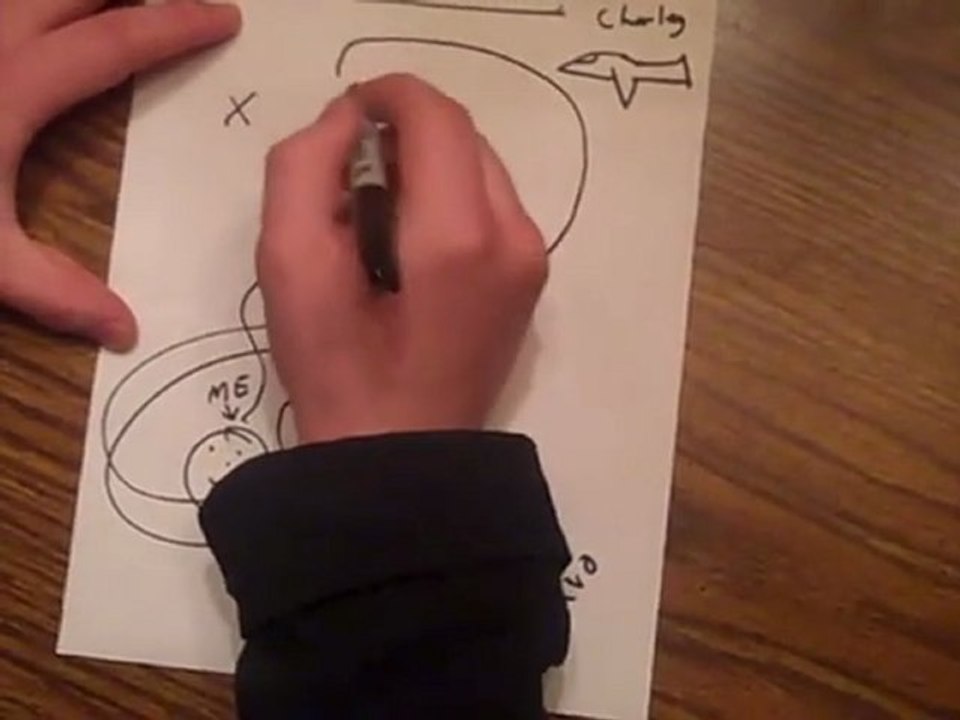 Graphic War Footage!