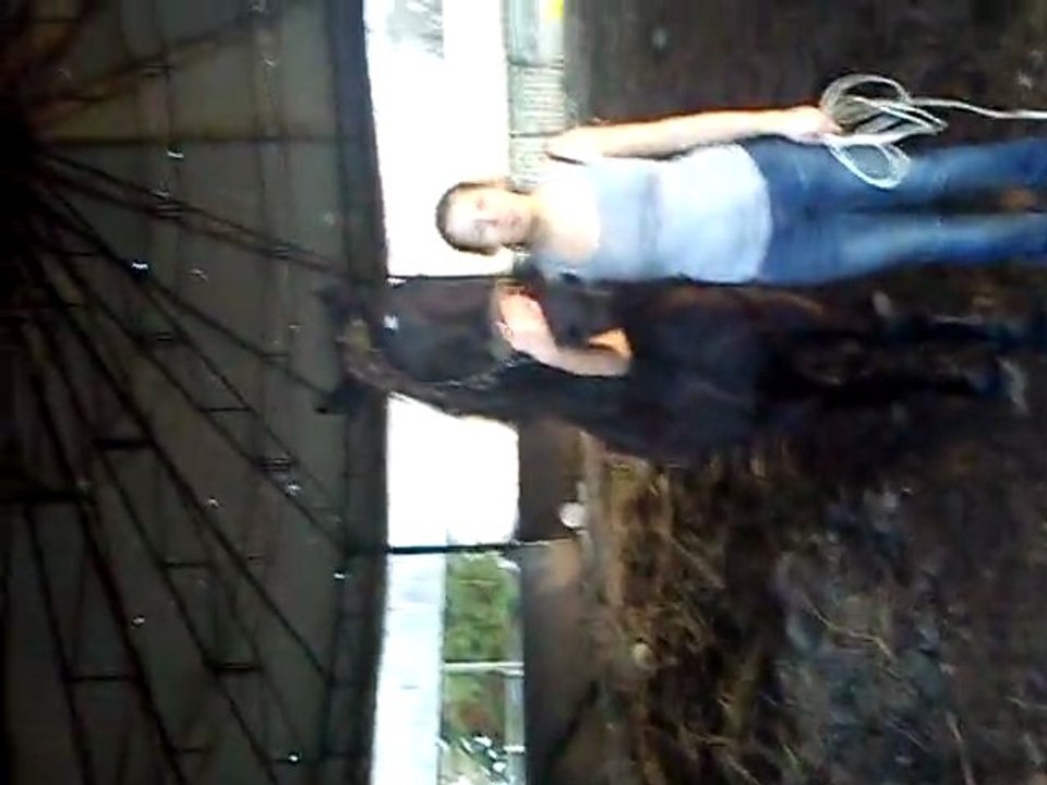 Cheval avec Charlèjne (7)